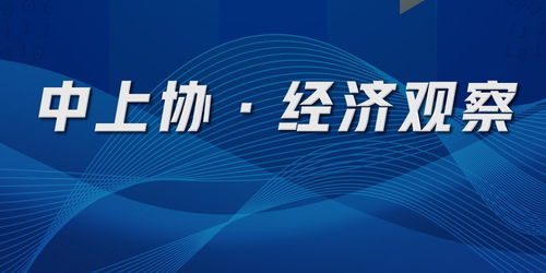 中上協經濟觀察 聚焦上市公司網絡安全風險披露與安全咨詢服務